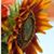 Cindy Townsend Kaylor's profile image