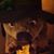William M Taylor's profile image