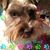 Sandi Finley's profile image