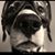Glenn H. Shelton's profile image