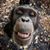 Kyle Kimmons's profile image