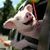 William Flores's profile image