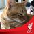 Kim Stapleton MacBeath's profile image