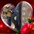 Sherryl Dornan's profile image