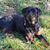 Crissy Anderson's profile image