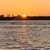 Amy Lamb Kepp's profile image