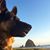 Heidi Ann's profile image