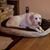 Anthony Sodl's profile image