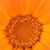 Denise Hall's profile image