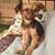 Deb's Yard Sale's profile image