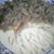 Rolle HazelWood's profile image