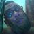 John Lancaster's profile image
