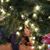 Donna Moyer's profile image