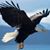 Mark Hobie Mathis's profile image