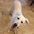 Donna M. Summers's profile image