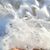 Julie St-Arneault's profile image