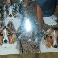 RichieRich Rich's profile image