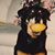 Nancy Furman Hughes's profile image