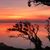 Janet Johnson Minor's profile image