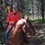 Todd Metcalf's profile image