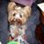 Kathy Hayworth Orr's profile image