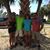 Cindy Clements Pecaut's profile image