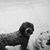 Kimberly Hurley Birmingham's profile image