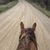 Shannon Kiffer's profile image