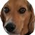 John Pharo's profile image