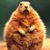 Ann Kerns's profile image