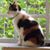 Judy Evanoski's profile image