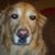 Kay Brown Webster's profile image