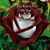 Stacey Garrett Vanbuskirk's profile image