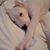 Alina Valentino's profile image