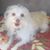 Dinora Albarran's profile image
