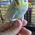 Julianne Wormuth's profile image