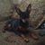 Traci Sprout Weiler's profile image