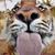 Jay Johnson's profile image