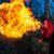 Sasha FireGypsy Gaulin's profile image