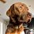 Greg Price's profile image