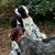 Joan McLaughlin-Greenwood's profile image