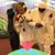 OC Leontine's profile image