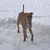 Bill Aey's profile image