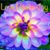 Kathy Lau Wai Chiu's profile image
