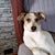 Diane Monroe's profile image