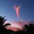 Barbara Hale's profile image