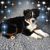 Jeanette B.'s profile image