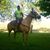 Anthony Flores's profile image