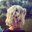 Zhanna's profile image