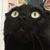 Ingi Thompson-Tate's profile image